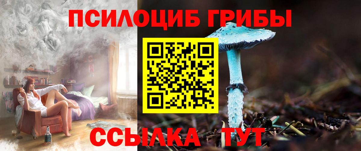 Псилоцибиновые грибы Magic Shrooms Саяногорск